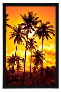Plakat palmy kokosowe na plaży