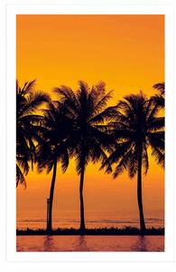 Plakat zachód słońca nad palmami