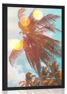 Plakat promienie słońca między palmami