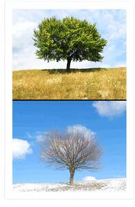 Plakat drzewo w porach roku