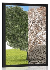 Plakat drzewo w dwóch formach