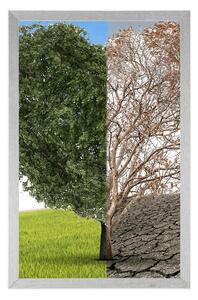 Plakat drzewo w dwóch formach