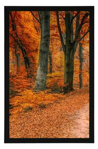 Plakat las w sezonie jesiennym