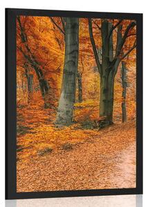 Plakat las w sezonie jesiennym