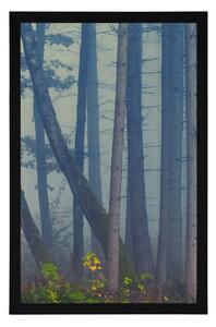 Plakat tajemniczy las