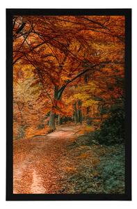 Plakat piękny las w sezonie jesiennym