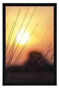 Plakat wschód słońca nad łąką