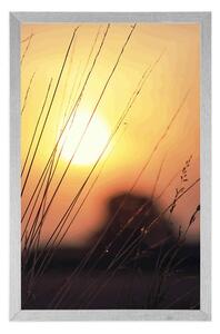 Plakat wschód słońca nad łąką