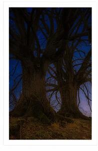 Plakat drzewa w nocnym krajobrazie