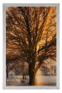 Plakat drzewo w śnieżnym krajobrazie