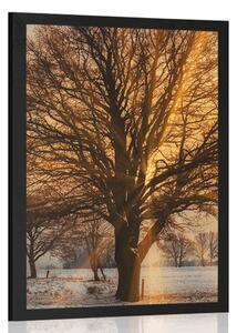 Plakat drzewo w śnieżnym krajobrazie