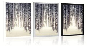 Plakat las pokryty śniegiem