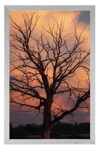 Plakat piękne drzewo na łące