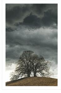 Plakat samotne drzewa