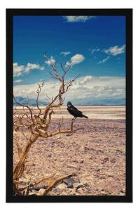 Plakat wrona na wysuszonym krajobrazie