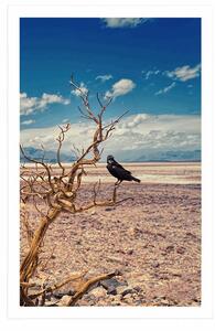 Plakat wrona na wysuszonym krajobrazie