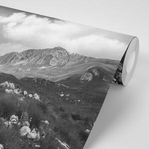 Samoprzylepna fototapeta czarno-biała dolina w Czarnogórze