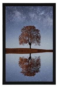 Plakat gwiaździste niebo nad samotnym drzewem