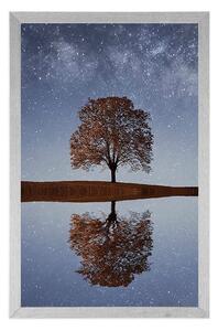 Plakat gwiaździste niebo nad samotnym drzewem