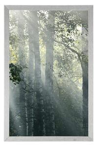 Plakat promienie słońca w mglistym lesie