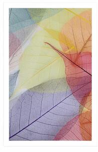 Plakat żyłki na kolorowych liściach