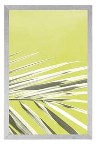 Plakat liść palmowy