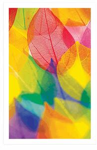 Plakat liście w jesiennych kolorach