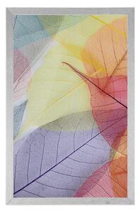 Plakat żyłki na kolorowych liściach