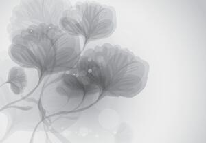 Fototapeta - Kwiaty Abstrakcyjne (196x136 cm)