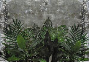 Fototapeta - Betonowa ściana z roślinami (196x136 cm)