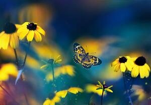 Fototapeta - Żółte kwiaty z motylkiem (196x136 cm)