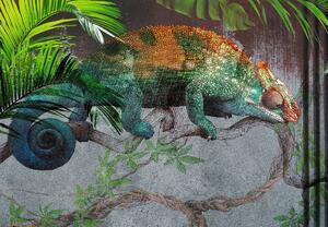 Fototapeta - Kameleon (196x136 cm)
