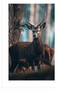 Plakat z passe-partout jeleń w lesie