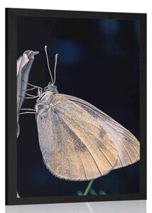 Plakat motyl na kwiatku