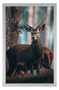Plakat jeleń w lesie