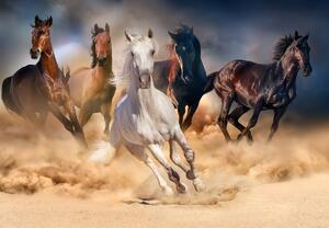 Fototapeta - Konie na pustyni (196x136 cm)