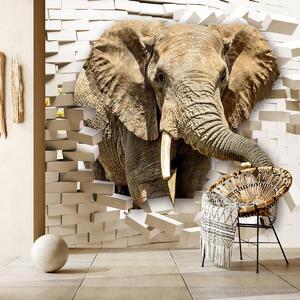 Fototapeta - Słoń przebijający się przez ścianę (196x136 cm)