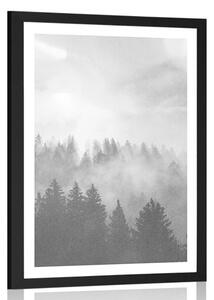 Plakat z passe-partout mgła nad lasem w czerni i bieli