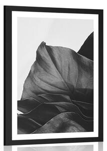 Plakat z passe-partout magiczny liść monstery w czerni i bieli