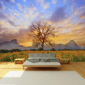 Fototapeta - Drzewo w słonecznikach (196x136 cm)
