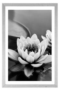 Plakat z passe-partout kwiat lotosu w jeziorze w czerni i bieli