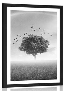 Plakat z passe-partout samotne drzewo na łące w czerni i bieli