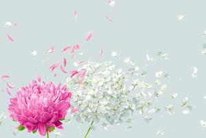 Fototapeta - Kwiaty na wietrze (196x136 cm)