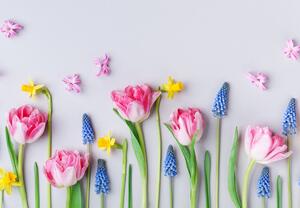 Fototapeta - Wiosenne kwiaty (196x136 cm)