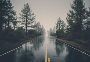 Fototapeta - Droga w deszczu (196x136 cm)