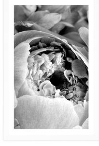 Plakat z passe-partout czarno-białe płatki kwiatów