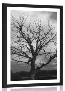 Plakat z passe-partout czarno-białe drzewo na łące