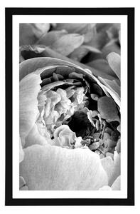Plakat z passe-partout czarno-białe płatki kwiatów