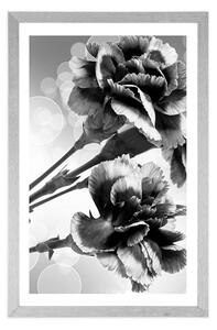 Plakat z passe-partout kwiat goździka w czarno-białym kolorze