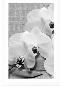 Plakat z passe-partout orchidea na płótnie w czarno-białym kolorze